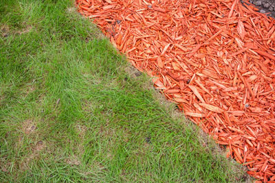 wood chip mulch